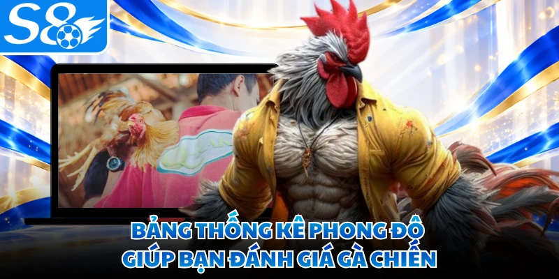 Bảng thống kê phong độ giúp bạn đánh giá gà chiến