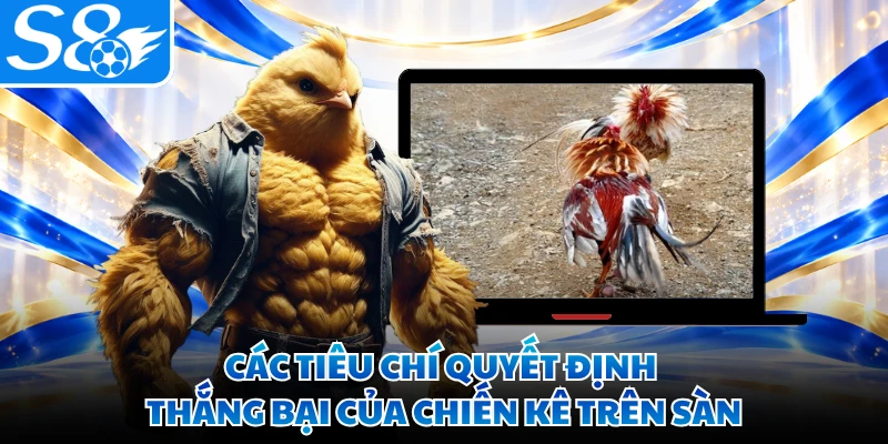 Các tiêu chí quyết định thắng bại của chiến kê trên sàn