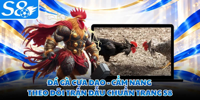 Đá Gà Cựa Dao - Cẩm Nang Theo Dõi Trận Đấu Chuẩn Trang S8