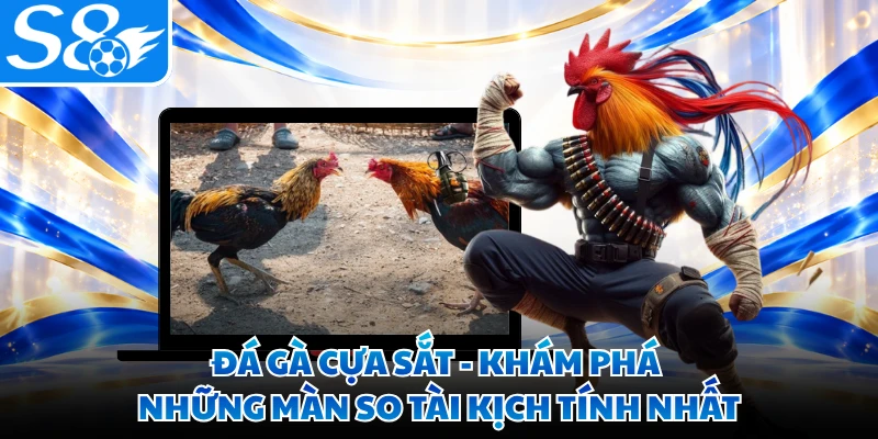 Đá Gà Cựa Sắt - Khám Phá Những Màn So Tài Kịch Tính Nhất