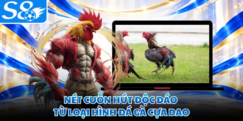 Nét cuốn hút độc đáo từ loại hình đá gà cựa dao