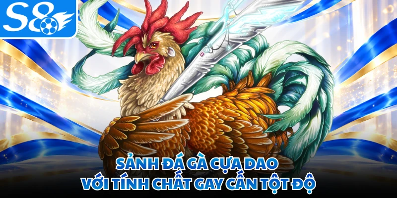 Sảnh đá gà cựa dao với tính chất gay cấn tột độ