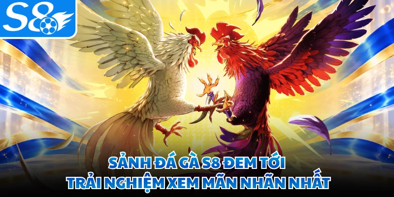 Sảnh đá gà S8 đem tới trải nghiệm xem mãn nhãn nhất